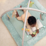 Ingenuity Calm Springs Plush Activity Gym