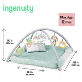 Ingenuity Calm Springs Plush Activity Gym