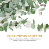 Joielle Natural Rub 60gm