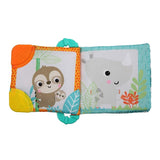 Bright Starts Teethe & Red Soft Book Toy