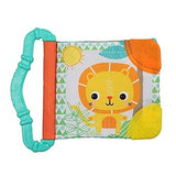 Bright Starts Teethe & Red Soft Book Toy
