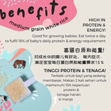 Baby Grains BASIC Range (6-15 Months)