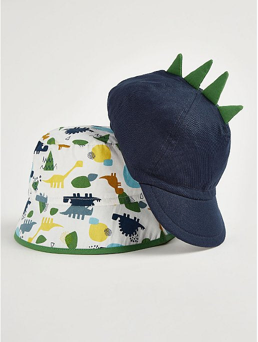 Dinosaur Hat 2 pack